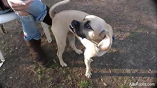 12296 tits porn videos